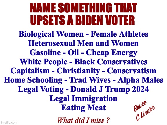 How Dare You ! | NAME SOMETHING THAT
UPSETS A BIDEN VOTER; Biological Women - Female Athletes
Heterosexual Men and Women
Gasoline - Oil - Cheap Energy
White People - Black Conservatives
Capitalism - Christianity - Conservatism
Home Schooling - Trad Wives - Alpha Males
Legal Voting - Donald J Trump 2024
Legal Immigration
Eating Meat; Bruce
C Linder; What did I miss ? | image tagged in christianity,pro-heterosexual,pro-us,pro-trad wife,black conservatives,legal voting | made w/ Imgflip meme maker