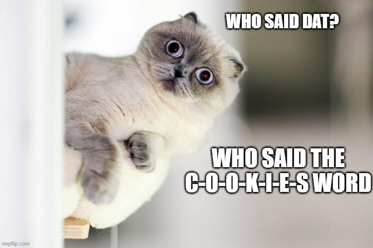 CookiesCat | WHO SAID DAT? WHO SAID THE C-O-O-K-I-E-S WORD | image tagged in kitty,cookies | made w/ Imgflip meme maker
