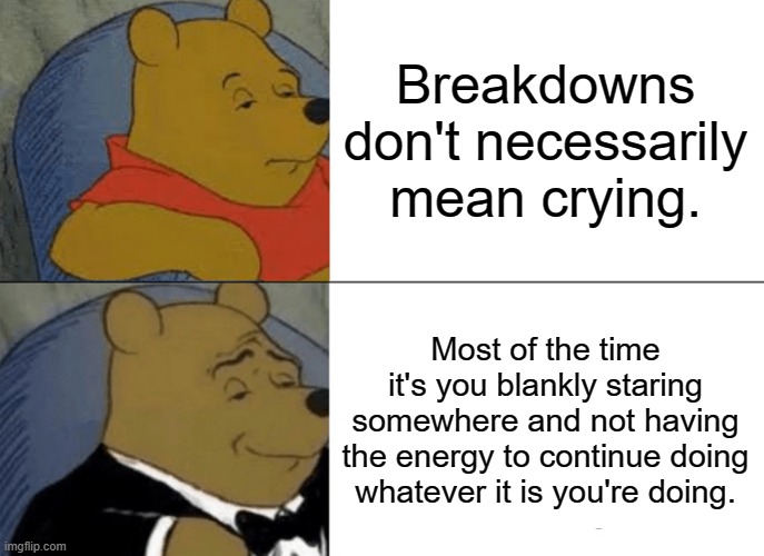 BREAKDOWN | Breakdowns don't necessarily mean crying. Most of the time it's you blankly staring somewhere and not having the energy to continue doing whatever it is you're doing. | image tagged in memes,tuxedo winnie the pooh | made w/ Imgflip meme maker