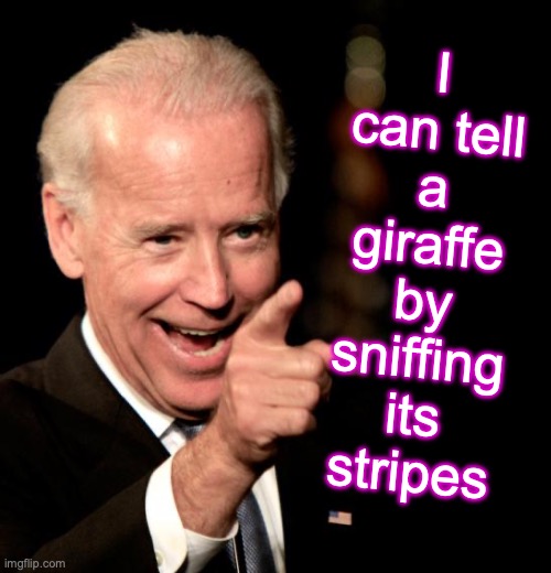I can tell a giraffe by sniffing its stripes | image tagged in memes,smilin biden,black box | made w/ Imgflip meme maker