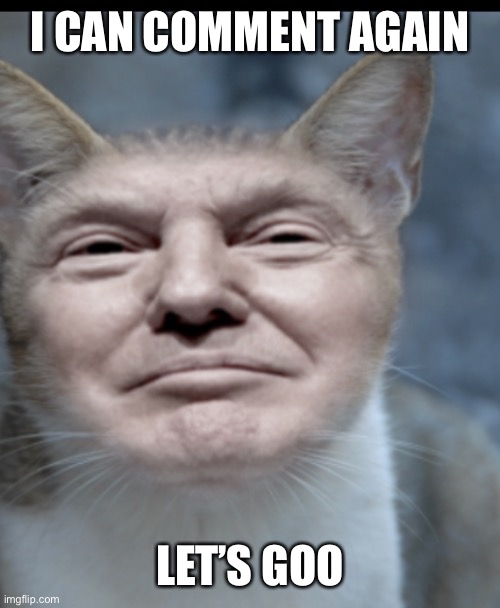 Donald trump cat | I CAN COMMENT AGAIN; LET’S GOO | image tagged in donald trump cat | made w/ Imgflip meme maker
