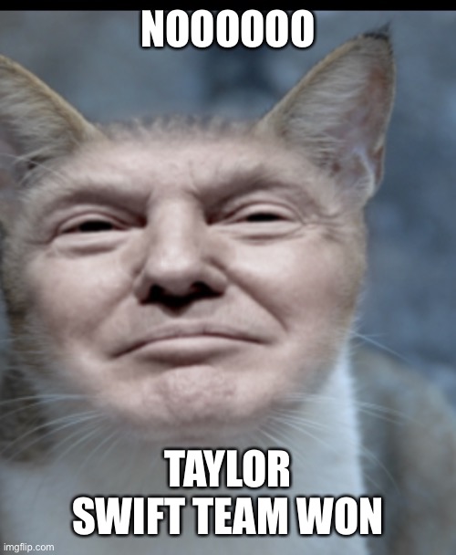 Donald trump cat | NOOOOOO; TAYLOR SWIFT TEAM WON | image tagged in donald trump cat | made w/ Imgflip meme maker