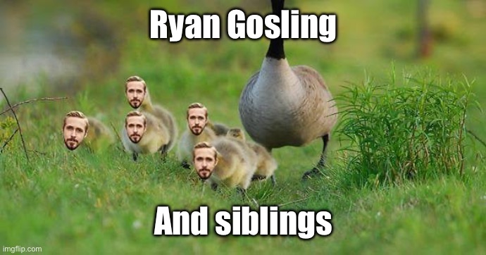 Goslings | Ryan Gosling; And siblings | image tagged in ryan gosling,siblings,brothers,sisters,dad joke | made w/ Imgflip meme maker