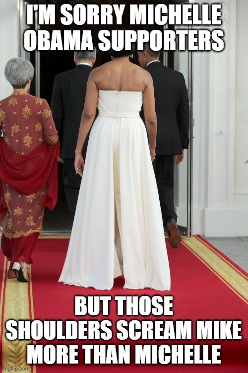Big Mike 1 | I'M SORRY MICHELLE OBAMA SUPPORTERS; BUT THOSE SHOULDERS SCREAM MIKE MORE THAN MICHELLE | image tagged in michelle obama,democrats | made w/ Imgflip meme maker