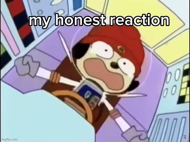 My honest reaction | image tagged in my honest reaction,parappa | made w/ Imgflip meme maker