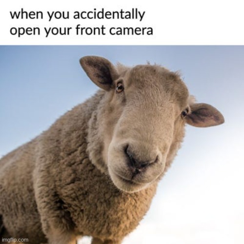 When You accidently open Your Front Camera | made w/ Imgflip meme maker