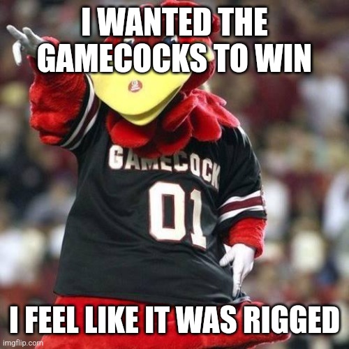 Gamecock | I WANTED THE GAMECOCKS TO WIN; I FEEL LIKE IT WAS RIGGED | image tagged in gamecock | made w/ Imgflip meme maker