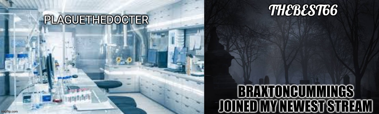 Plaguethedocter and Thebest66 | BRAXTONCUMMINGS JOINED MY NEWEST STREAM | image tagged in plaguethedocter and thebest66 | made w/ Imgflip meme maker