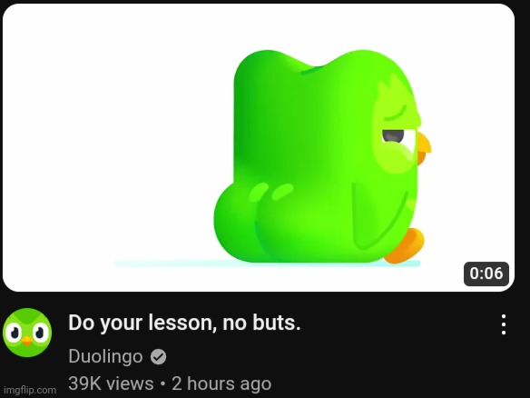 Don't say anything | image tagged in duolingo | made w/ Imgflip meme maker