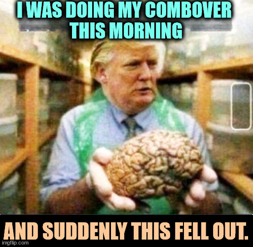 I WAS DOING MY COMBOVER 
THIS MORNING; AND SUDDENLY THIS FELL OUT. | image tagged in trump,senile,stupid,old,brain | made w/ Imgflip meme maker