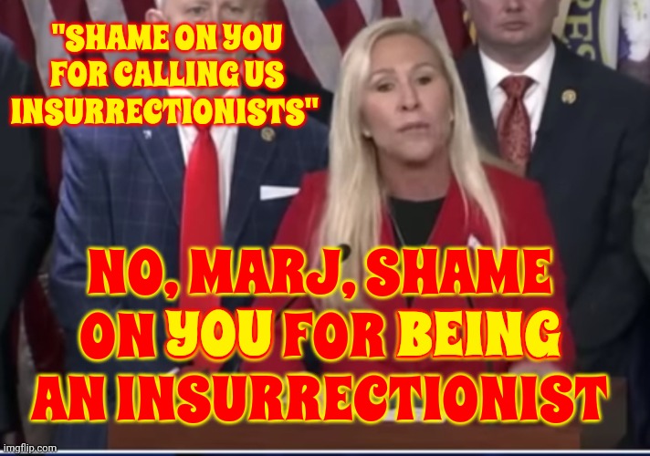 She Lives In An Alternative Reality | "SHAME ON YOU FOR CALLING US INSURRECTIONISTS"; NO, MARJ, SHAME ON YOU FOR BEING AN INSURRECTIONIST; YOU; BEING | image tagged in alternative facts,trump unfit unqualified dangerous,con man,lock him up,conservative hypocrisy,memes | made w/ Imgflip meme maker