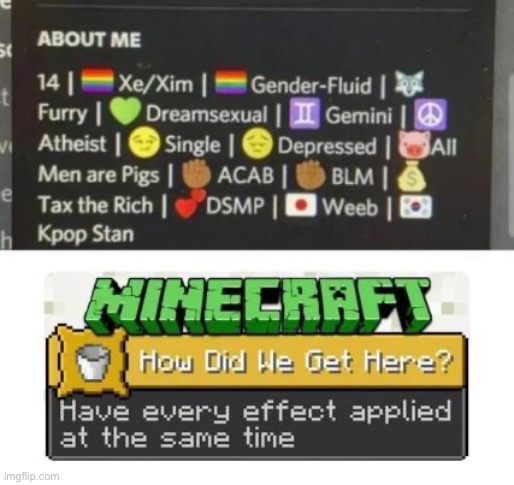 Bro got every potion effect | image tagged in minecraft | made w/ Imgflip meme maker