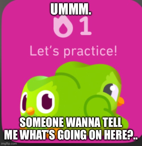 Umm | UMMM. SOMEONE WANNA TELL ME WHAT’S GOING ON HERE?.. | image tagged in umm | made w/ Imgflip meme maker
