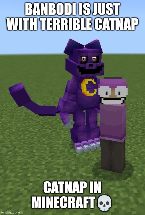 Banbodi with Terrible Catnap in minecraft | BANBODI IS JUST WITH TERRIBLE CATNAP; CATNAP IN MINECRAFT💀 | image tagged in minecraft banbodi and catnap smiling critters,minecraft,poppy playtime,smiling critters,banbodi,catnap | made w/ Imgflip meme maker