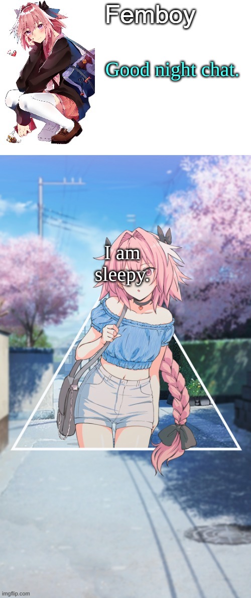 . | Good night chat. I am sleepy. | image tagged in femboy | made w/ Imgflip meme maker