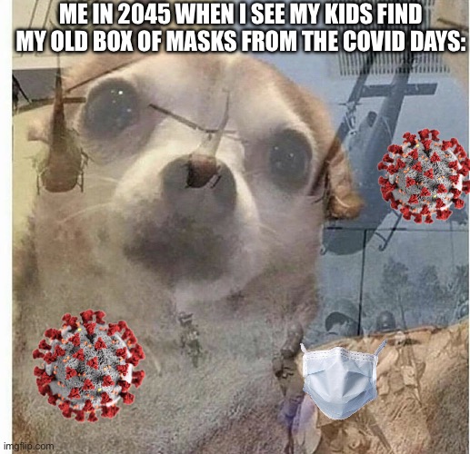 PTSD Chihuahua | ME IN 2045 WHEN I SEE MY KIDS FIND MY OLD BOX OF MASKS FROM THE COVID DAYS: | image tagged in ptsd chihuahua | made w/ Imgflip meme maker