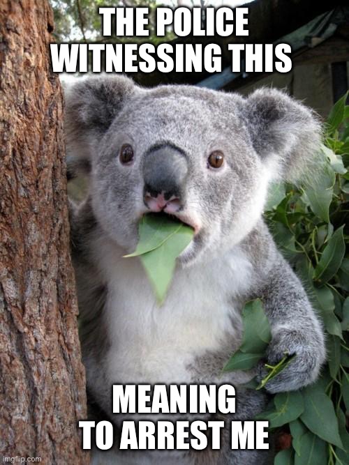 Surprised Koala Meme | THE POLICE WITNESSING THIS MEANING TO ARREST ME | image tagged in memes,surprised koala | made w/ Imgflip meme maker