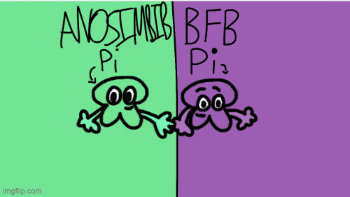 ANOSIMBIB Pi and BFB Pi - Imgflip