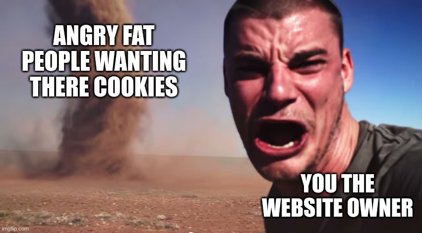 Here it comes | ANGRY FAT PEOPLE WANTING THERE COOKIES YOU THE WEBSITE OWNER | image tagged in here it comes | made w/ Imgflip meme maker