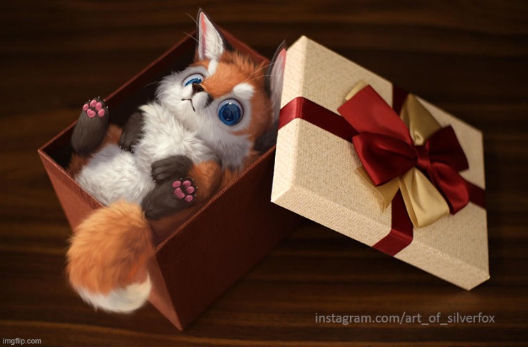 Fox In a Box (Art : SilverFox5213 on DA) | image tagged in fox,cute,wholesome,da | made w/ Imgflip meme maker