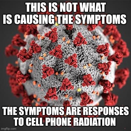 Covid Hoax | THIS IS NOT WHAT IS CAUSING THE SYMPTOMS; THE SYMPTOMS ARE RESPONSES TO CELL PHONE RADIATION | image tagged in covid,covid hoax,fake,plandemic | made w/ Imgflip meme maker