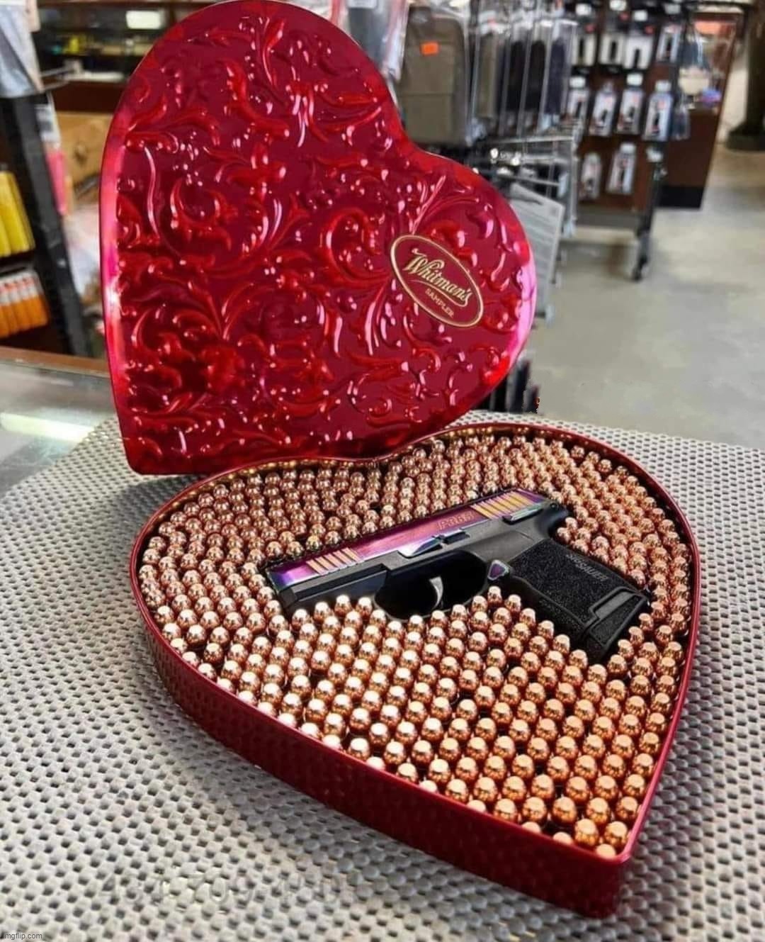 What conservative ladies really want for Valentines Day! | image tagged in sig sauer sampler,valentines day,valentines,second amendment,eye candy,freedom seeds | made w/ Imgflip meme maker