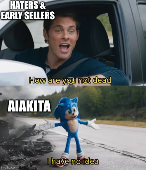 Sonic I have no idea | HATERS & EARLY SELLERS; AIAKITA | image tagged in sonic i have no idea,cryptocurrency,meme coin,aiakita,aix,shiba inu | made w/ Imgflip meme maker