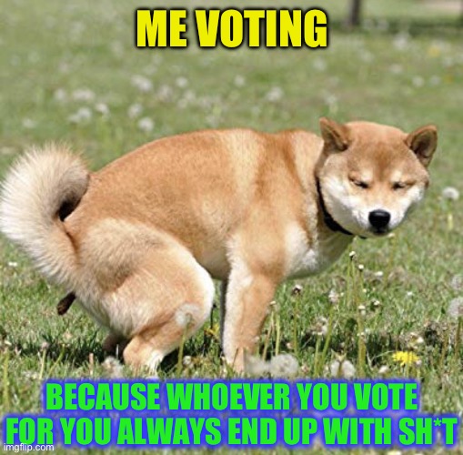 Doge takes a Dump | ME VOTING BECAUSE WHOEVER YOU VOTE FOR YOU ALWAYS END UP WITH SH*T | image tagged in doge takes a dump | made w/ Imgflip meme maker