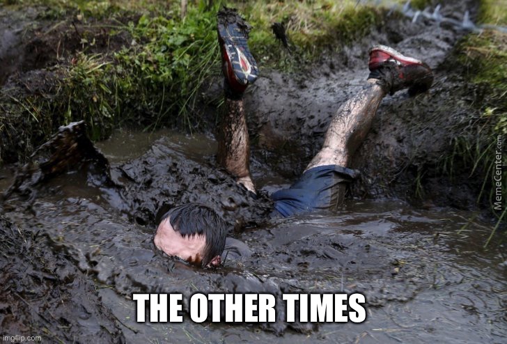 Mud flop | THE OTHER TIMES | image tagged in mud flop | made w/ Imgflip meme maker