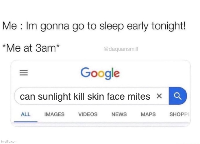 Can sunlight kill skin face mites | can sunlight kill skin face mites | image tagged in google before sleeping,demodex,face mites | made w/ Imgflip meme maker
