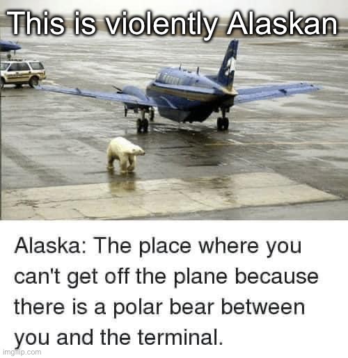 Alaskan airport | This is violently Alaskan | image tagged in alaska,polar bear,plane,airport | made w/ Imgflip meme maker