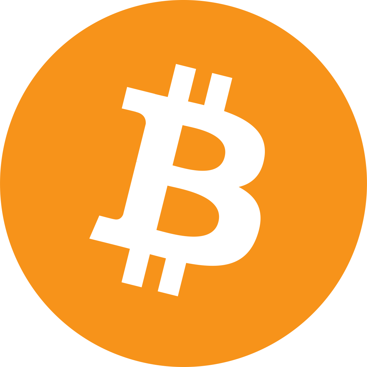 Bitcoin logo Blank Meme Template