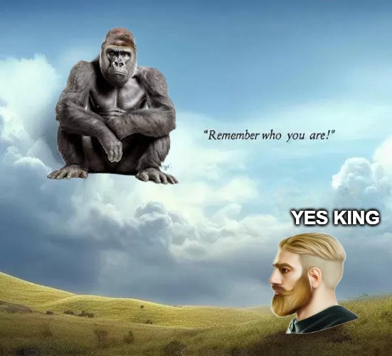 YES KING | image tagged in this looked better in my head | made w/ Imgflip meme maker