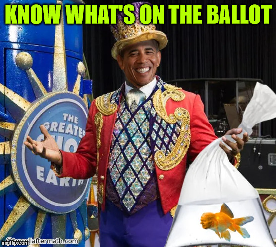 KNOW WHAT'S ON THE BALLOT | made w/ Imgflip meme maker