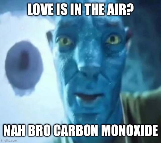 Avatar guy | LOVE IS IN THE AIR? NAH BRO CARBON MONOXIDE | image tagged in avatar guy | made w/ Imgflip meme maker