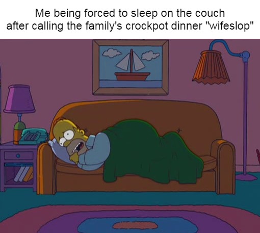 Me being forced to sleep on the couch after calling the family's crockpot dinner "wifeslop" | image tagged in meme,memes | made w/ Imgflip meme maker