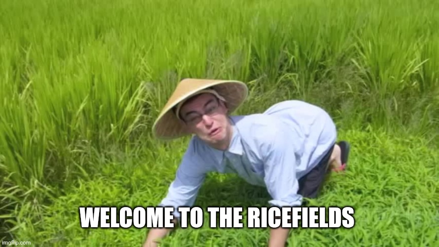 WELCOME TO THE RICE FIELDS | WELCOME TO THE RICEFIELDS | image tagged in welcome to the rice fields | made w/ Imgflip meme maker