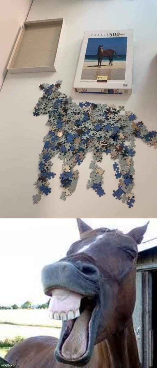 Horse puzzle | image tagged in horse happy,horse,puzzles,puzzle,horses,memes | made w/ Imgflip meme maker