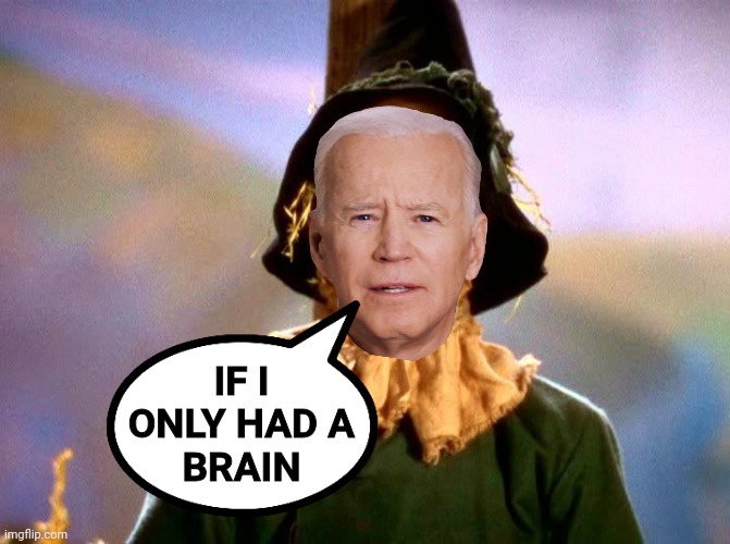 Hello Real_Politics! I'm new here. | IF I
ONLY HAD A
BRAIN | image tagged in wizard of oz scarecrow | made w/ Imgflip meme maker