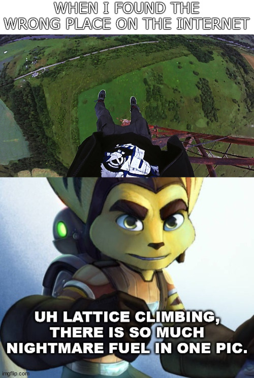 Found nightmare fuel again | WHEN I FOUND THE WRONG PLACE ON THE INTERNET | image tagged in shiey lattice climbing,lattice climbingratchet and clank,template,meme,memes | made w/ Imgflip meme maker