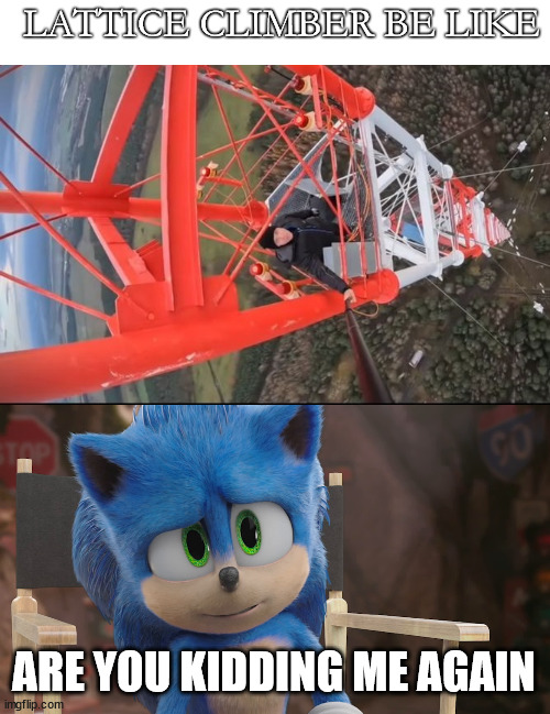 Sonic meet a german guy | LATTICE CLIMBER BE LIKE; ARE YOU KIDDING ME AGAIN | image tagged in sonic lattice climbing,germany,lattice climbing,sonic the hedgehog,template,meme | made w/ Imgflip meme maker