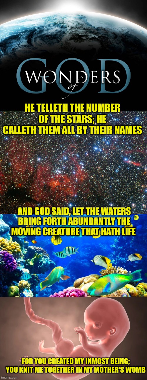 HE TELLETH THE NUMBER OF THE STARS; HE CALLETH THEM ALL BY THEIR NAMES; AND GOD SAID, LET THE WATERS BRING FORTH ABUNDANTLY THE MOVING CREATURE THAT HATH LIFE; FOR YOU CREATED MY INMOST BEING; YOU KNIT ME TOGETHER IN MY MOTHER'S WOMB | image tagged in god of wonders | made w/ Imgflip meme maker