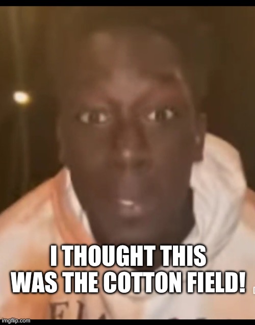 Surprised black man | I THOUGHT THIS WAS THE COTTON FIELD! | image tagged in surprised black man | made w/ Imgflip meme maker