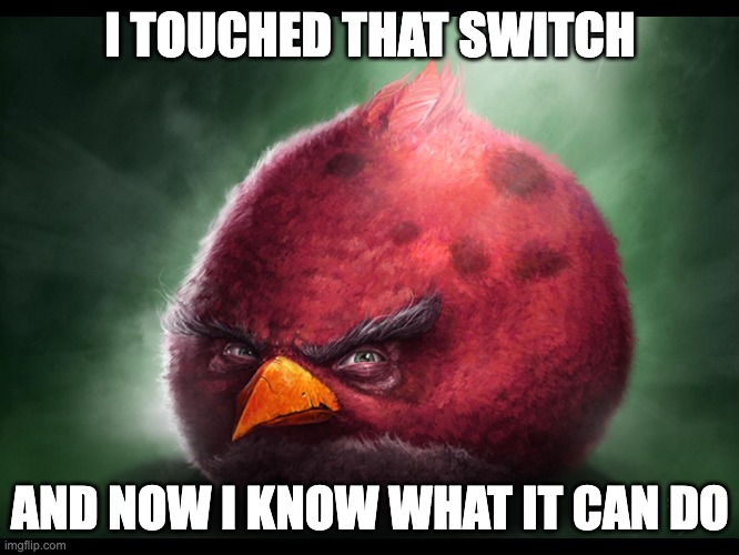 To all u Robbie Williams fans! | I TOUCHED THAT SWITCH; AND NOW I KNOW WHAT IT CAN DO | image tagged in realistic angry bird big red | made w/ Imgflip meme maker