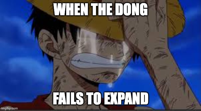 Luffy Crying | WHEN THE DONG; FAILS TO EXPAND | image tagged in luffy crying | made w/ Imgflip meme maker