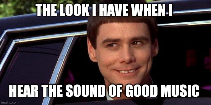Sound of good music | THE LOOK I HAVE WHEN I; HEAR THE SOUND OF GOOD MUSIC | image tagged in dumb and dumber,funny memes | made w/ Imgflip meme maker