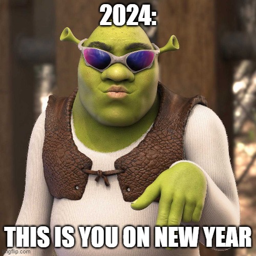 In 2024 | 2024:; THIS IS YOU ON NEW YEAR | image tagged in shrek,slay | made w/ Imgflip meme maker