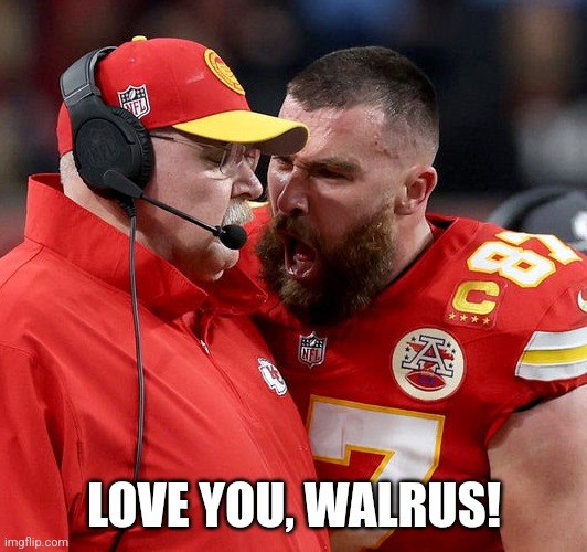 High emotions | LOVE YOU, WALRUS! | image tagged in travis kelce screaming | made w/ Imgflip meme maker
