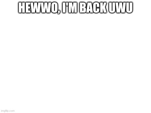 HEWWO, I'M BACK UWU | made w/ Imgflip meme maker