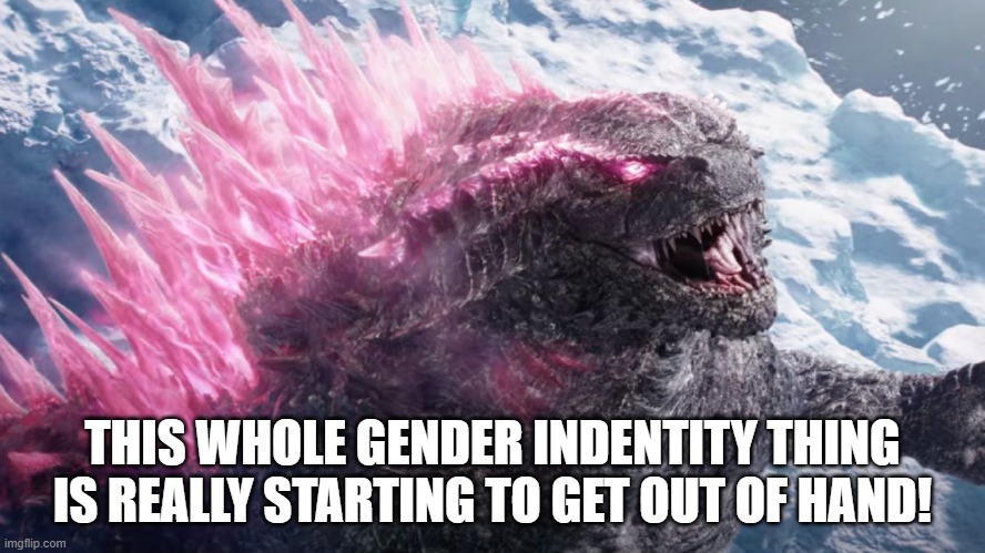 Godzilla | THIS WHOLE GENDER INDENTITY THING IS REALLY STARTING TO GET OUT OF HAND! | image tagged in godzilla | made w/ Imgflip meme maker